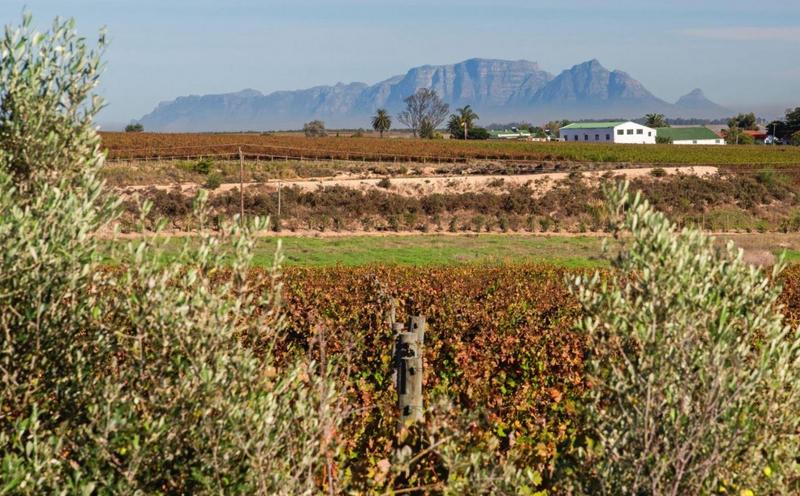6 Bedroom Property for Sale in Stellenbosch Central Western Cape